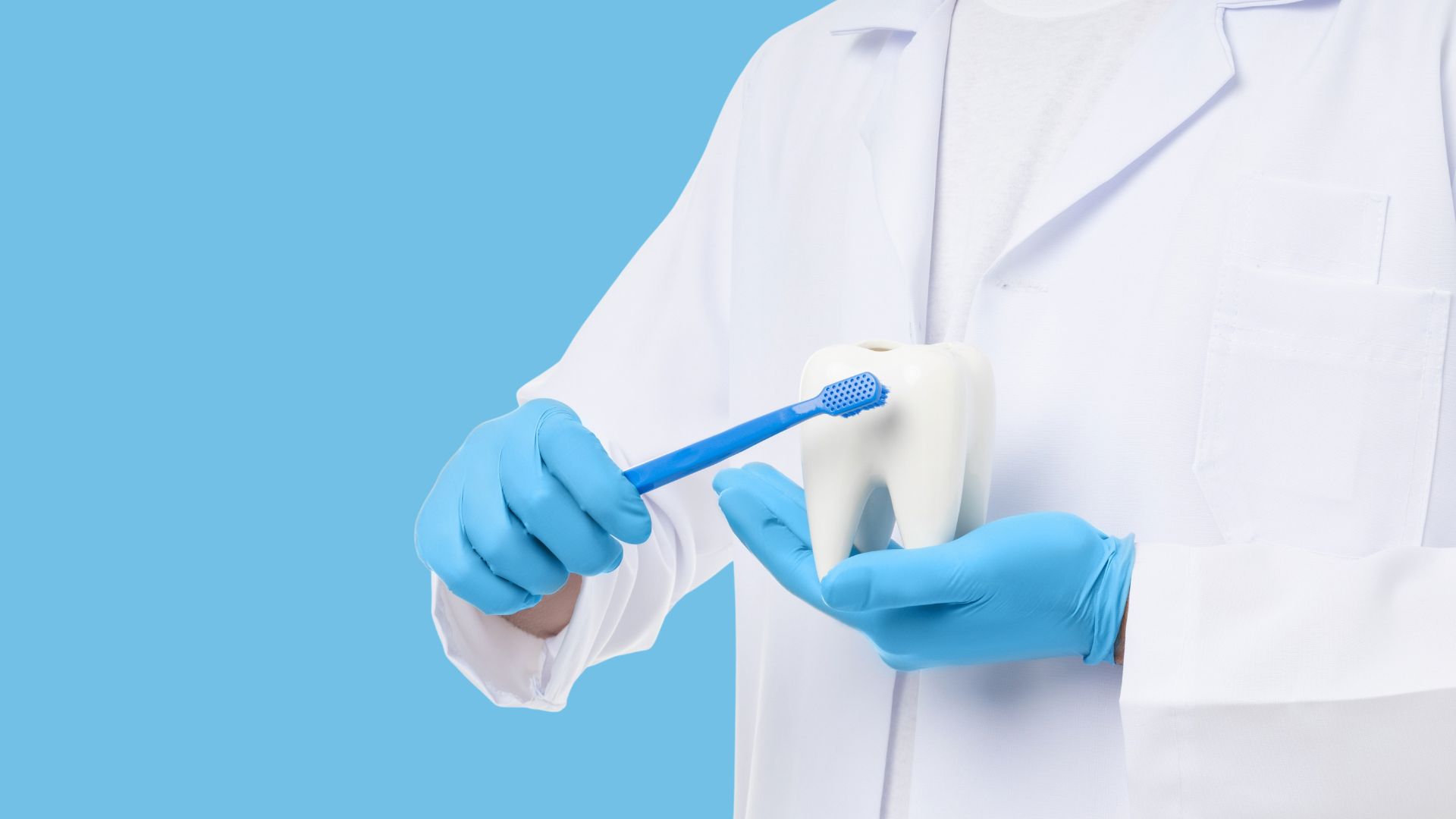 dental checkups Christchurch